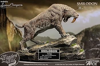 Amazon | スターエーストイズ ワンダーズ オブ ザ ワイルド